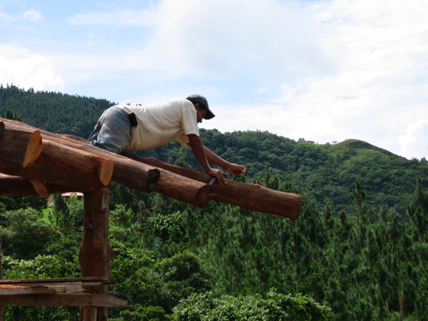 IMG_1320