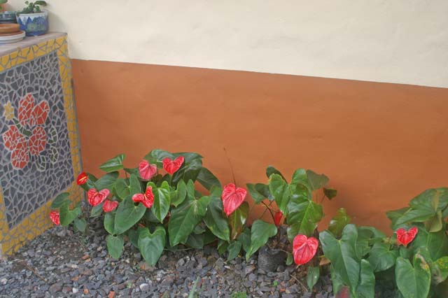 30