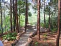 walk15b