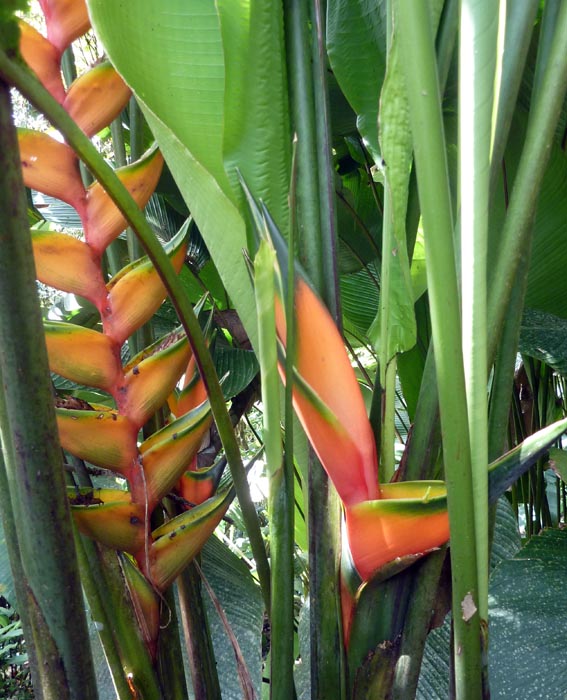 P1040299
